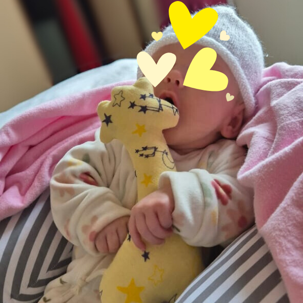 Website Images 600 x 600 (3)