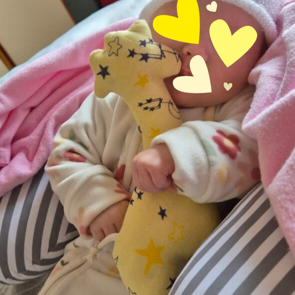 Website Images 600 x 600 (7)